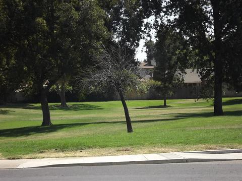 964 Ebbetts Ave, Manteca, CA 95337 photo 19