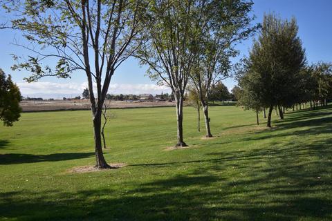 1620 Sparrowhawk St, Manteca, CA 95337 photo 9