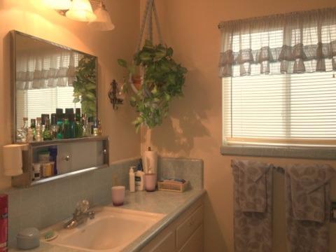 485 Vassar Ave, Turlock, CA 95382 photo 16
