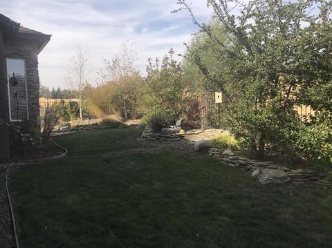 238 Rock Rdg, Copperopolis, CA 95228 photo 19