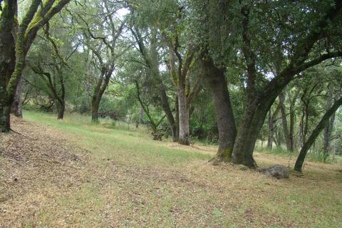 2640 Buffalo Hill Rd, Georgetown, CA 95634 photo 1
