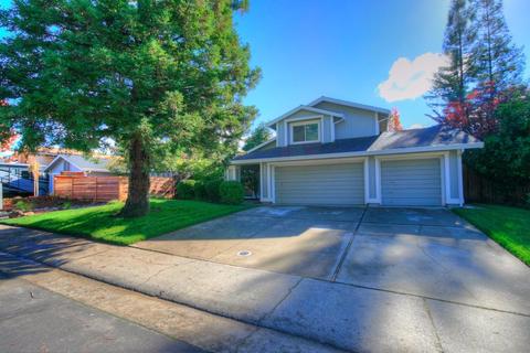 111 Blakeslee Way, Folsom, CA 95630 photo 1