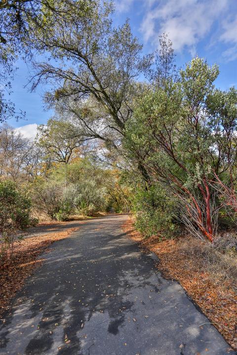 5860 Gold Leaf Ln, Placerville, CA 95667 photo 24