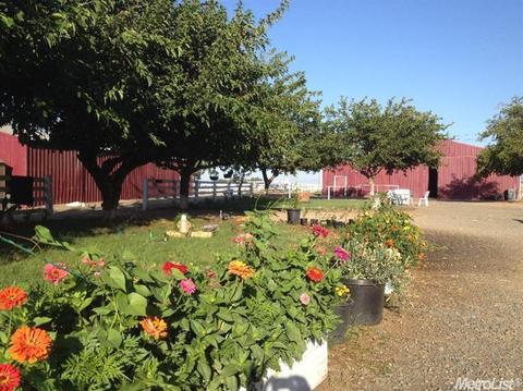 8530 Locust Rd, Elverta, CA 95626 photo 7