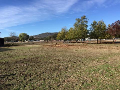 2501 White Oak Rd, Rescue, CA 95672 photo 30