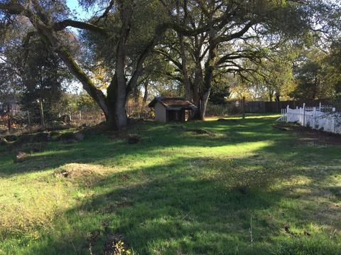 2501 White Oak Rd, Rescue, CA 95672 photo 29