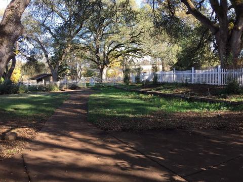 2501 White Oak Rd, Rescue, CA 95672 photo 16