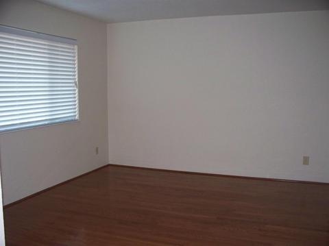 15417 N 9th St, Patterson, CA 95363 photo 5