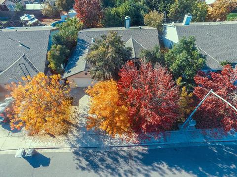 6325 Silverock Rd, Riverbank, CA 95367 photo 26