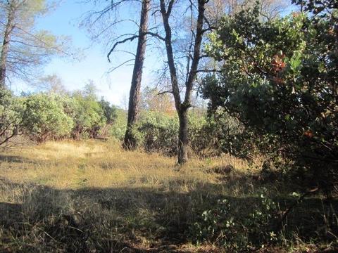 2645 Gold Ct, Placerville, CA 95667 photo 1