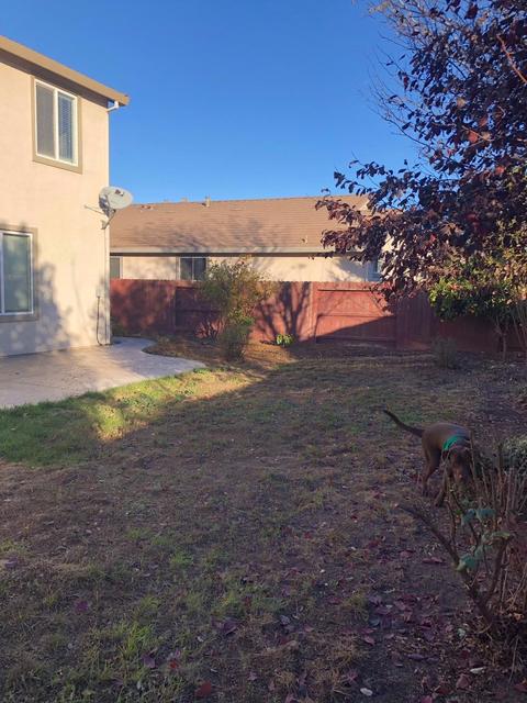 1658 Topiary, Manteca, CA 95337 photo 22