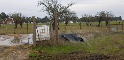 1651 Elverta Rd, Elverta, CA 95626 photo 1