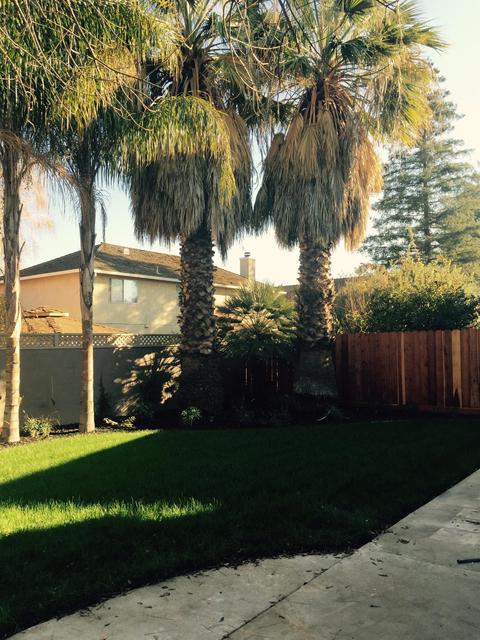 3640 N Olive Ave, Turlock, CA 95382 photo 22