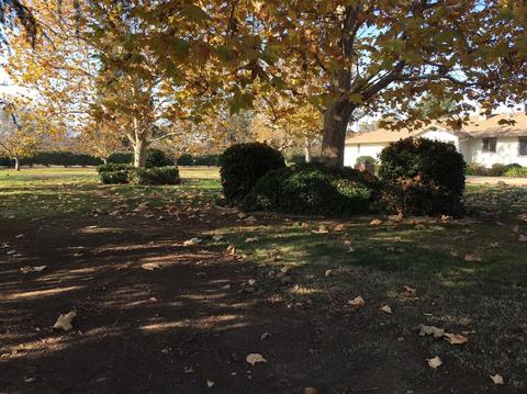 17010 E Front St, Linden, CA 95236 photo 22