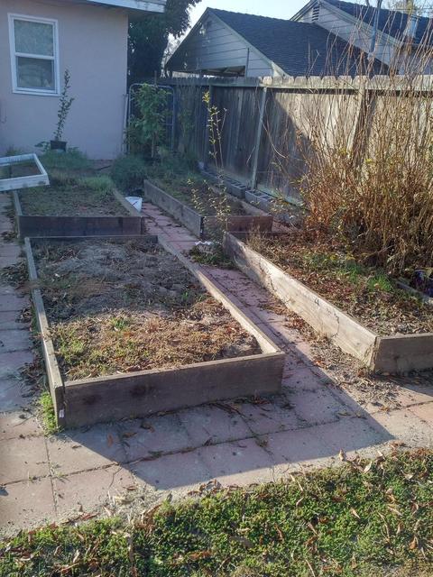 1421 Teresa St, Modesto, CA 95350 photo 18