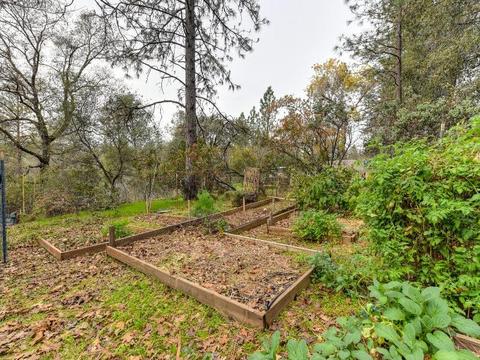 16775 Golden Ridge Rd, Applegate, CA 95703 photo 21