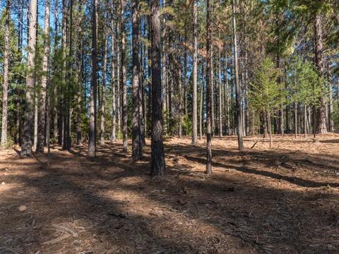 1635 Cantrell Ln, Placerville, CA 95667 photo 29