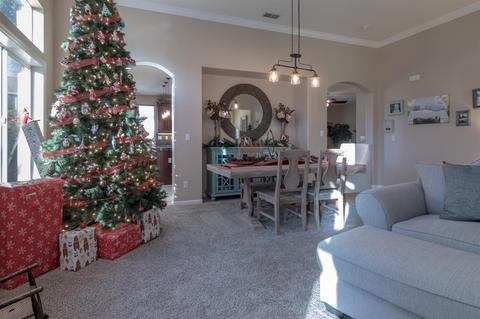 119 W Shasta Ave, Ripon, CA 95366 photo 10