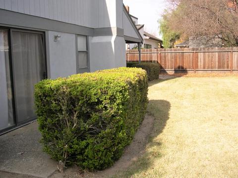 2412 Dels Ln, Turlock, CA 95382 photo 20