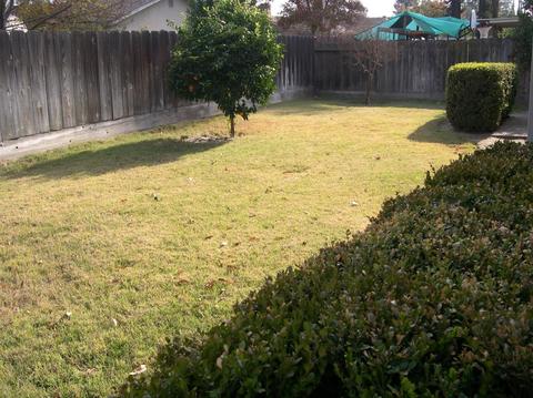 2412 Dels Ln, Turlock, CA 95382 photo 19