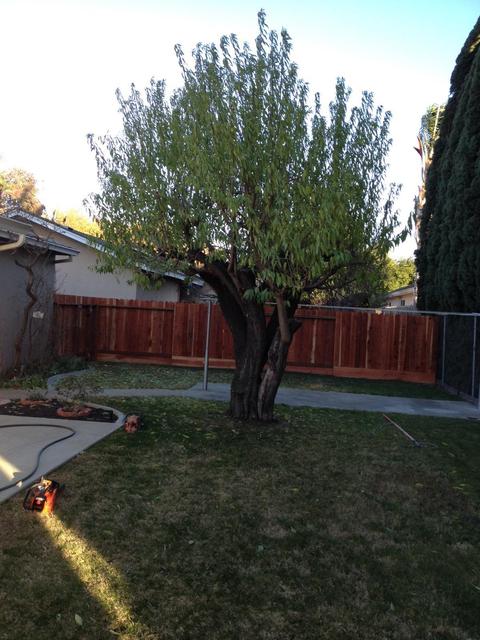 1712 Torrid Ave, Modesto, CA 95358 photo 18