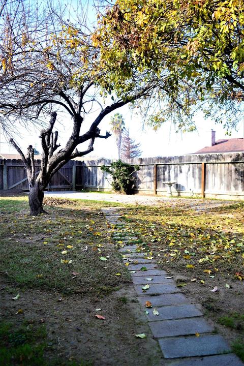 2205 Ridgeway Dr, Ceres, CA 95307 photo 24