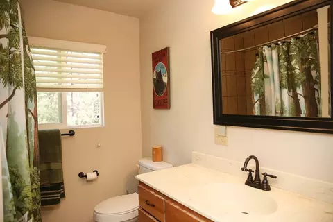 19405 Mella Dr, Volcano, CA 95689 photo 14