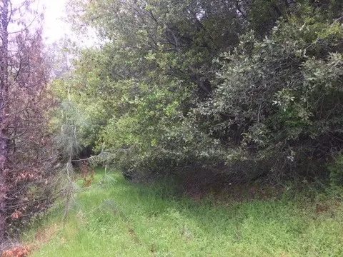 18253 Climax Rd, Jackson, CA 95642 photo 13