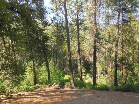 204 Cedar Ln, West Point, CA 95255 photo 14