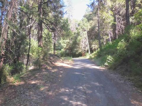 204 Cedar Ln, West Point, CA 95255 photo 25