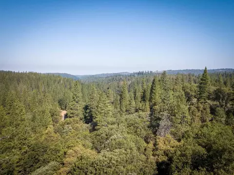 20855 E Warner Rd, Pine Grove, CA 95665 photo 24