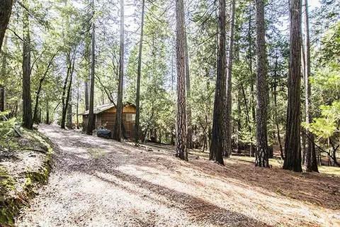 12805 Eldel Rd, Pine Grove, CA 95665 photo 19