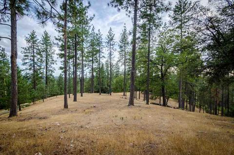 16741 Shake Ridge Rd, Sutter Creek, CA 95685 photo 26