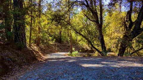 13989 Sutter Highlands Dr, Sutter Creek, CA 95685 photo 11