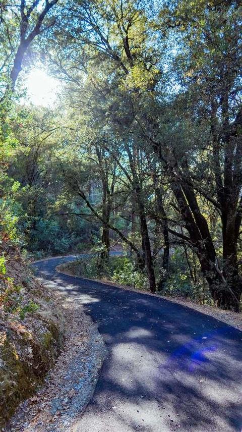 13989 Sutter Highlands Dr, Sutter Creek, CA 95685 photo 24