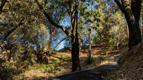 13989 Sutter Highlands Dr, Sutter Creek, CA 95685 photo 26