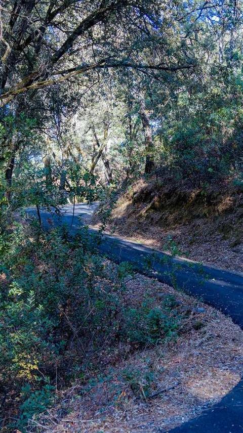 13989 Sutter Highlands Dr, Sutter Creek, CA 95685 photo 27
