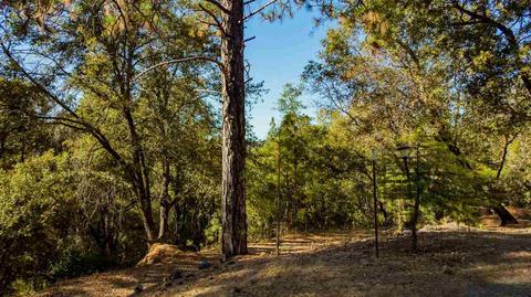 13989 Sutter Highlands Dr, Sutter Creek, CA 95685 photo 20