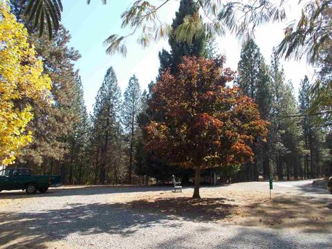 905 Deardorff, Mokelumne Hill, CA 95245 photo 28