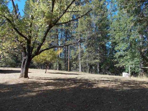 905 Deardorff, Mokelumne Hill, CA 95245 photo 23