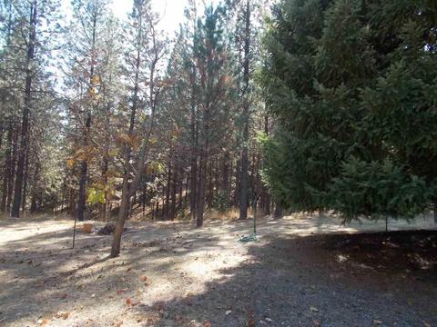 905 Deardorff, Mokelumne Hill, CA 95245 photo 32