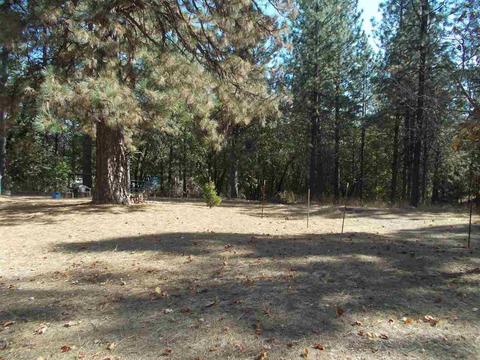 905 Deardorff, Mokelumne Hill, CA 95245 photo 18