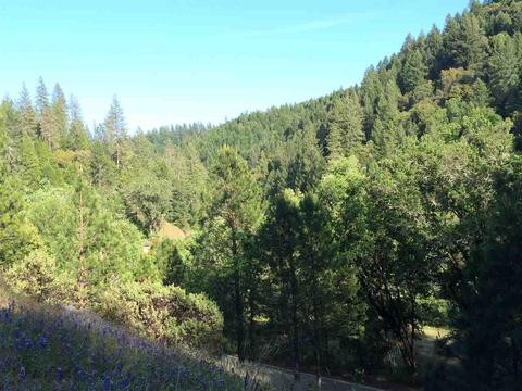 19111 Laurel Rd, Sutter Creek, CA 95685 photo 1