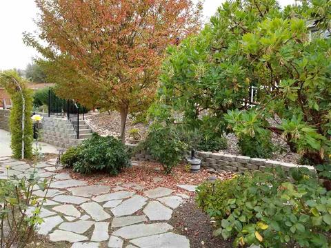 1590 Kilham Ct, Jackson, CA 95642 photo 9