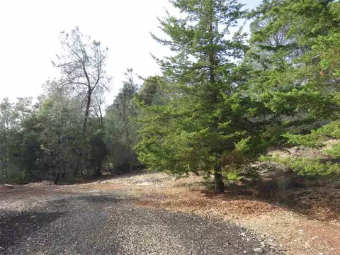20 Rollingwood Dr #32, Jackson, CA 95642 photo 17