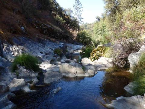 150 Stanley, West Point, CA 95255 photo 4