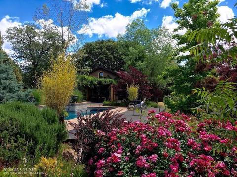 13329 Mount Olive Rd, Grass Valley, CA 95949 photo 21