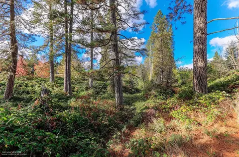 Undisclosed, Grass Valley, CA 95945 photo 20