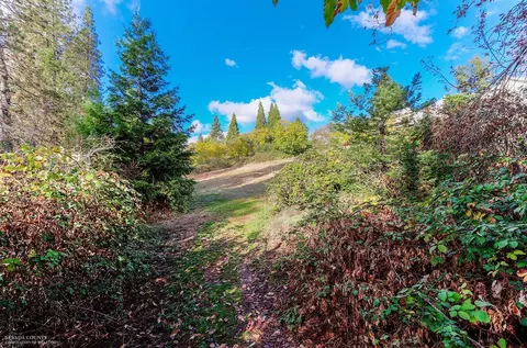Undisclosed, Grass Valley, CA 95945 photo 21