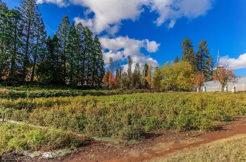 Undisclosed, Grass Valley, CA 95945 photo 28